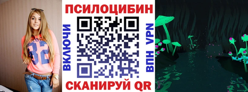 как найти закладки  Луза  Псилоцибиновые грибы Cubensis 